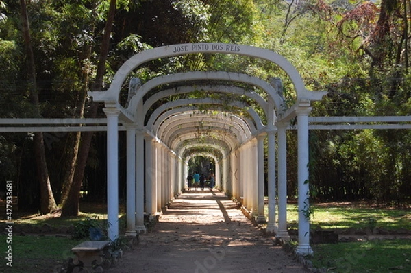 Obraz bridge in the park