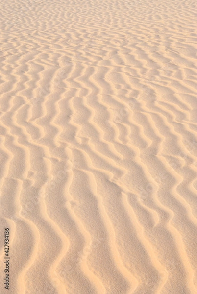 Obraz sand dunes in the desert
