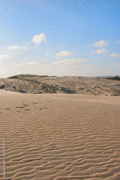 Obraz sand dunes in park
