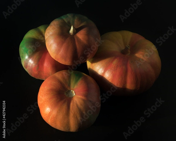 Obraz Pumpkins On black background