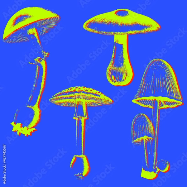 Fototapeta Set of mushrooms in psychedelic colors, etched vector