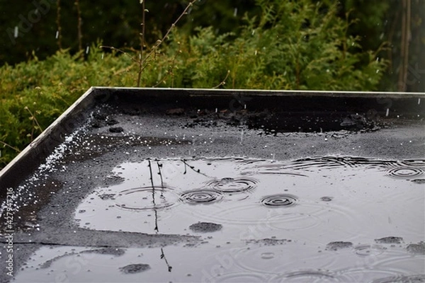Obraz Light rain on a black flat roof against a green background