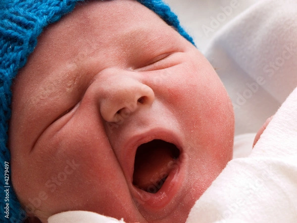 Fototapeta Hungry Baby