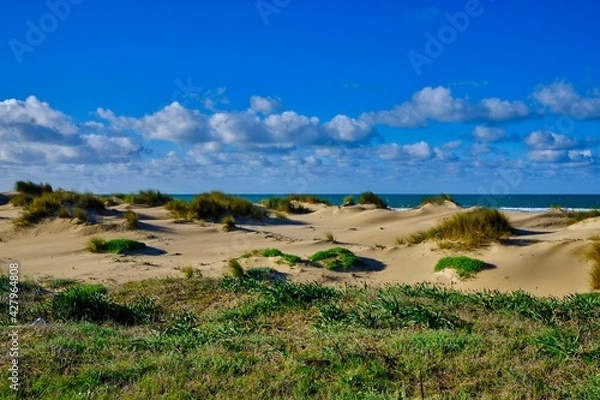 Fototapeta Vegetation, dunes and clouds in the horizon at the beach