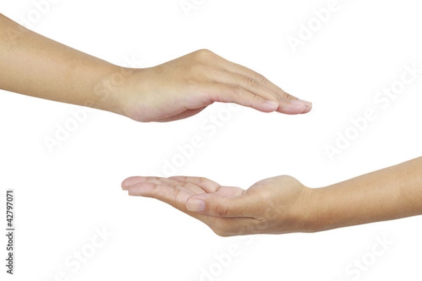 Fototapeta two hands