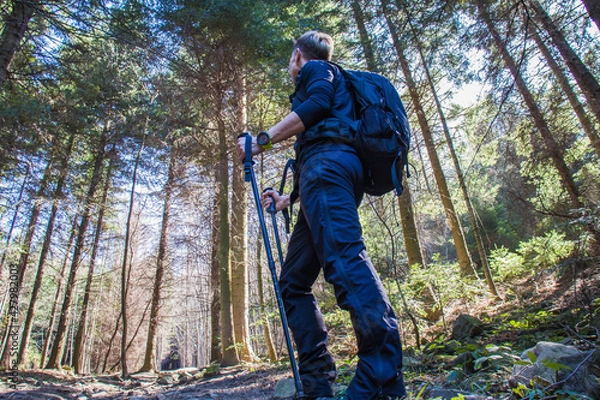 Obraz Młoda kobieta z plecakiem na spacerze w górach w słoneczny dzień