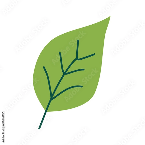 Obraz green leaf plant