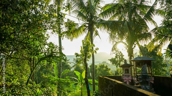 Fototapeta tropical hut in the jungle