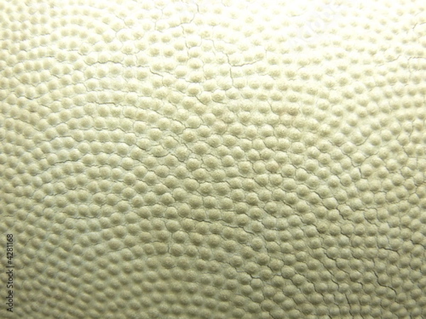 Obraz ballon de rugby macro