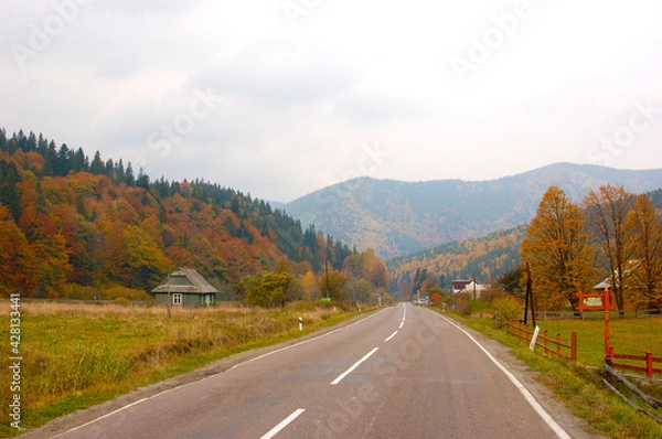Obraz autumn in the mountains road