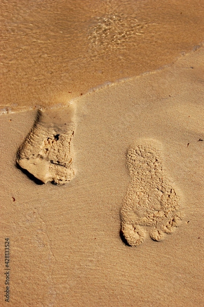 Fototapeta footprints in the sand