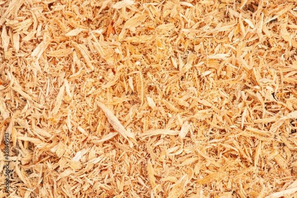 Obraz sawdust texture