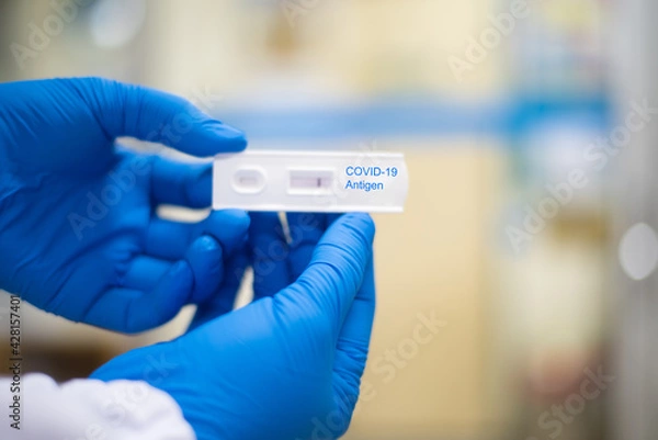 Fototapeta Screening rapid test COVID-19 antigen negative.