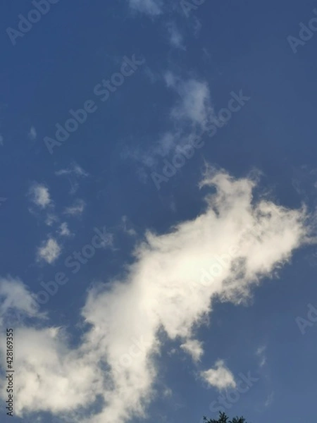 Fototapeta clouds in the sky