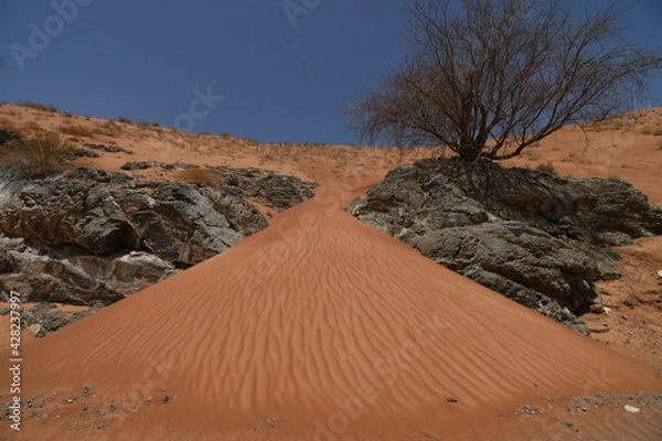 Obraz Desert dune with rocks