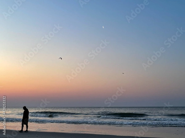 Fototapeta walking on the beach at sunset