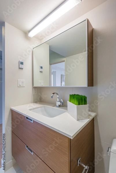 Fototapeta Fragment of a luxury bathroom