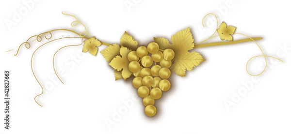 Obraz uva d'oro