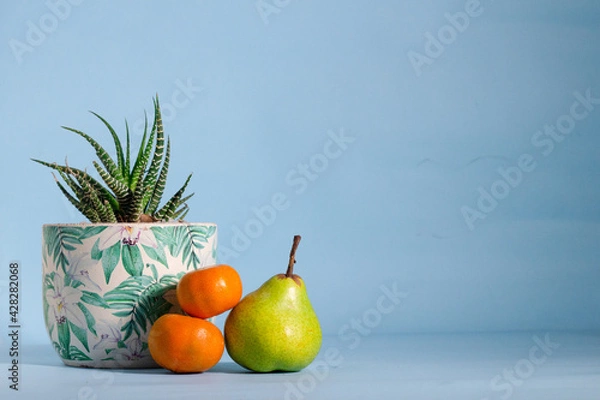 Fototapeta Vida saludable