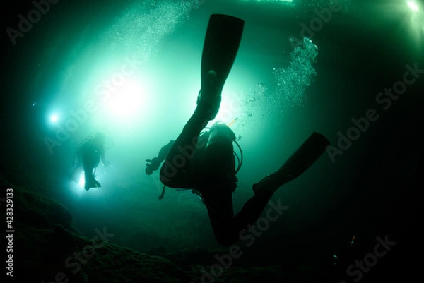 Obraz ナイトダイビング