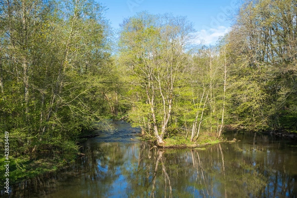 Obraz Sunny spring day at a river forest