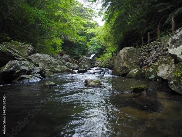 Obraz マテリアの滝へ続く川