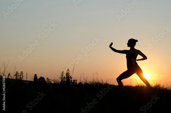 Obraz Tai chi chuan.