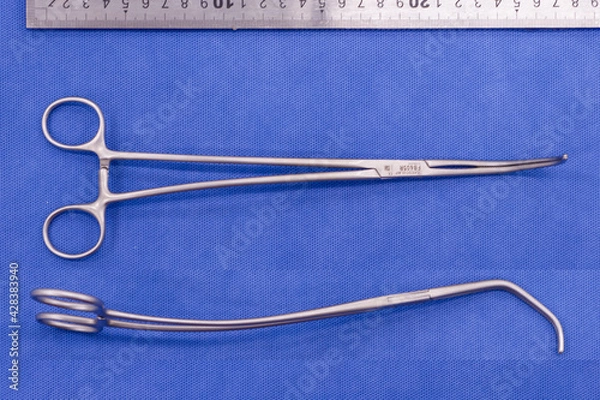 Fototapeta Satinsky forceps on blue background