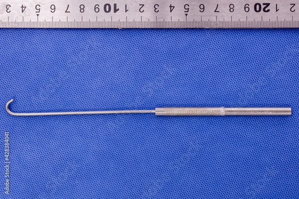Fototapeta Spay or ovariectomy hook
