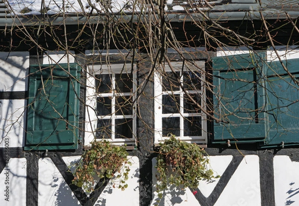 Fototapeta Close-up of a window with green shutters of a traditional framed house with windows boxes in Hilden, Germany, Europe
