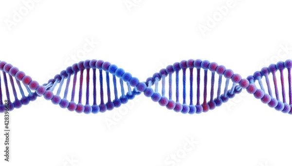 Fototapeta 3D illustration DNA structure isolated background.