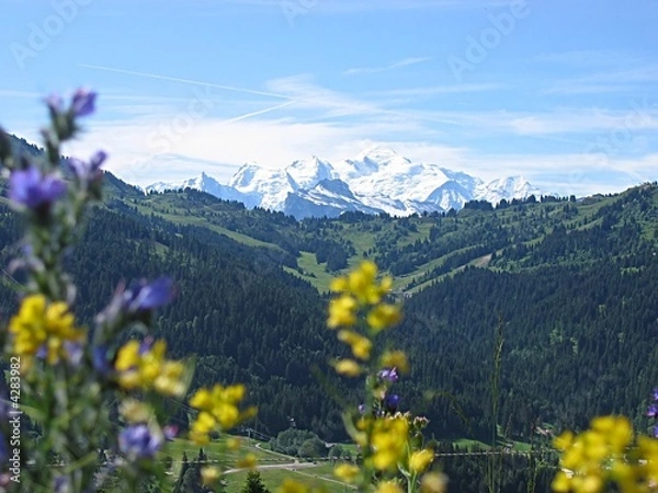 Obraz Mont Blanc