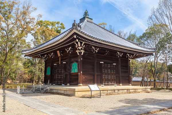 Fototapeta 仁和寺　観音堂