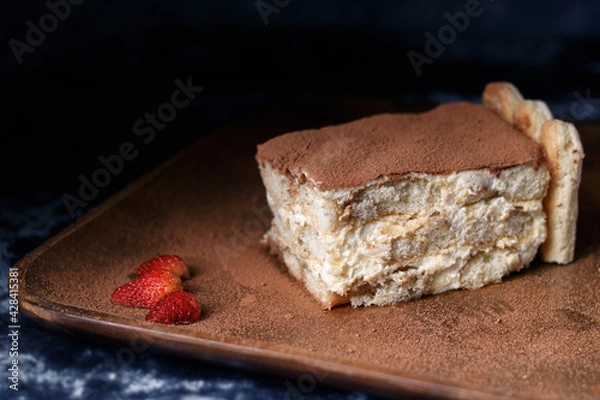 Obraz Tiramisu cake