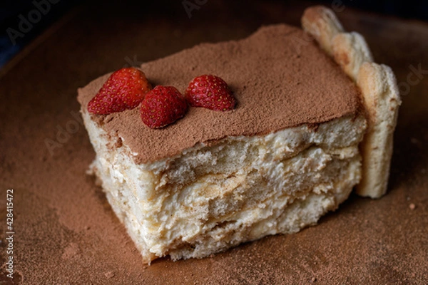 Obraz Tiramisu cake