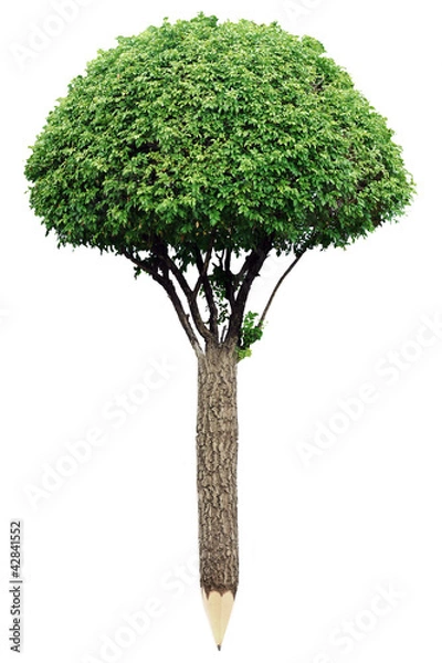 Obraz Pencil of wood material with fresh leaves. Green planet concept