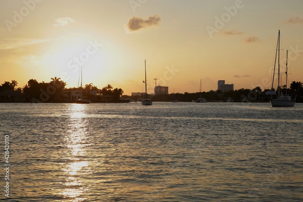 Fototapeta sunset or sunrise on a river or bay with yachts with lowered sails in the parking lot