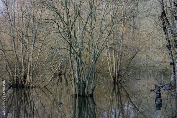 Obraz natural landscape