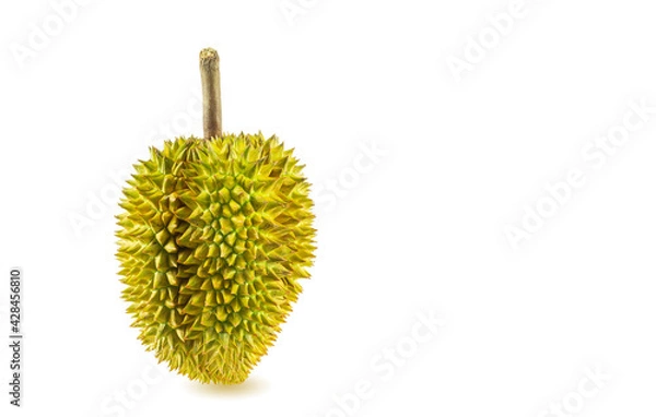 Fototapeta Monthong Durian