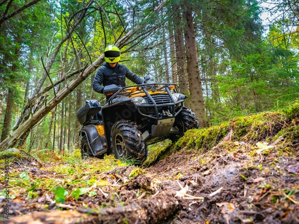 Fototapeta ATV z widokiem z przodu kierowcy. Jeździ w terenie w lesie. Wyprawa przygodowa w podróży w terenie. Ekstremalna aktywność rekreacyjna na ATV. Podróżuj żółtym ATV. Mężczyzna pozający na quadu