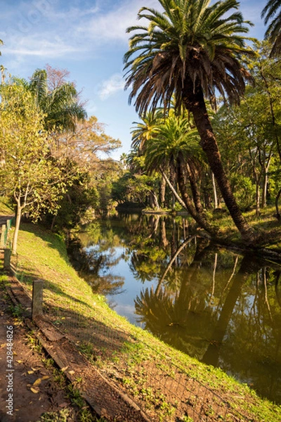 Fototapeta Parque Rodó - Montevideo (Uruguay)