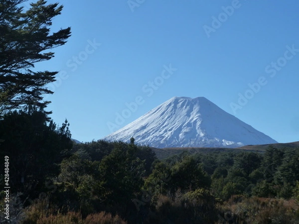 Fototapeta Nouvelle-Zélande