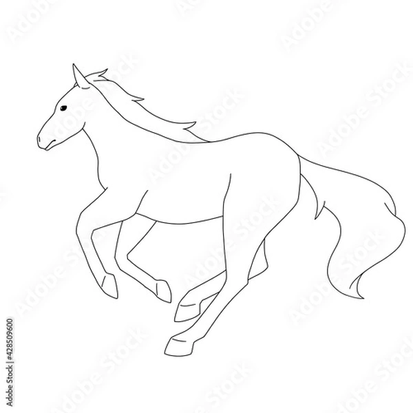 Fototapeta 馬　走る　線画