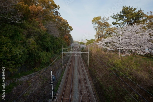 Fototapeta 街につながる線路