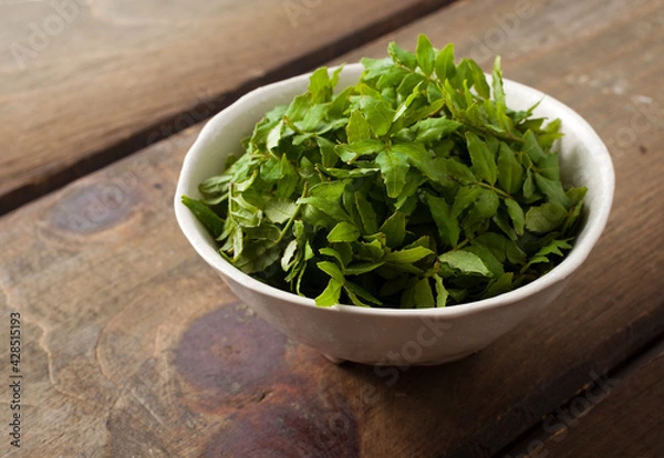 Fototapeta 　　木の芽　山椒の葉