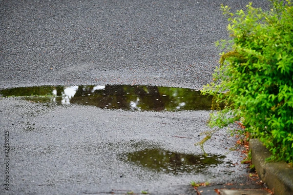 Obraz 雨の日の水溜り