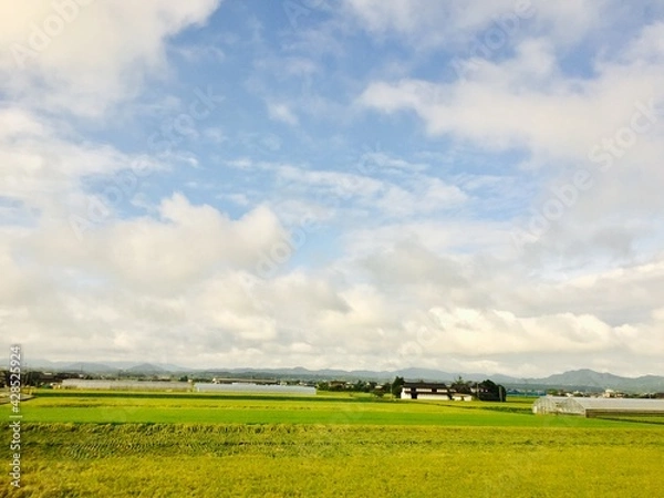 Obraz 하늘과 들판