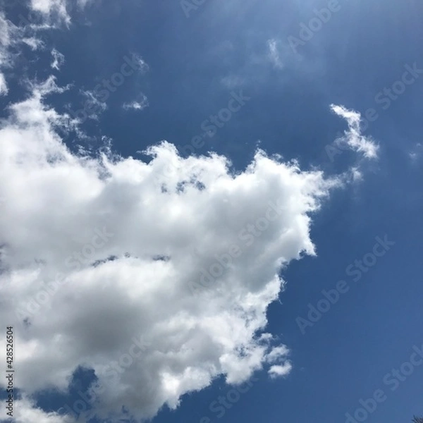 Fototapeta 맑은 하늘