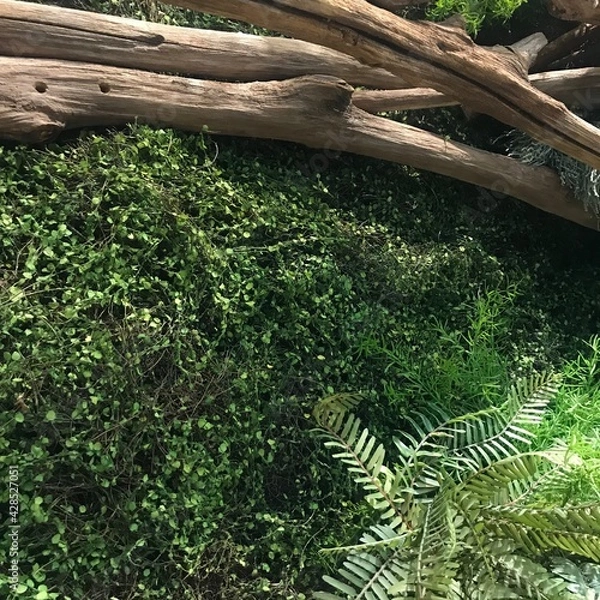 Obraz 인테리어 조화