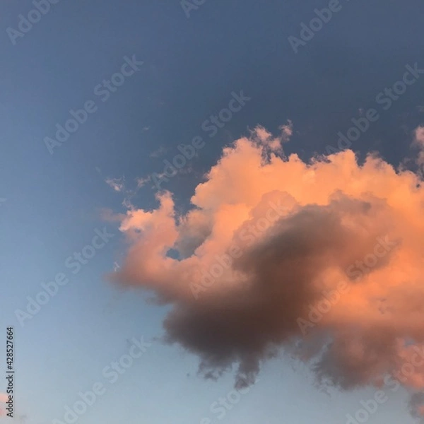 Fototapeta 노을진 구름